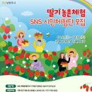 딸기미용실 이미지