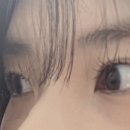 수원-0963 이미지