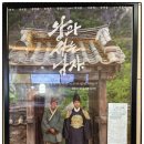 M.Park 9 (3관) | 롯데시네마 영화가격, 왕과사는남자 9000원 할인예매 방법 할인받는 법