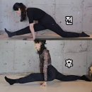 우태클 태권도 입시센터 | 다리찢기 효과, 10회 후기 (르세라핌 카즈하 스트레칭)