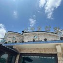 행복한 쭈꾸미 닭볶음탕 이미지