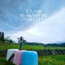 제주 가볼만한곳 아침미소목장 체험/카이막맛집