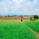 새골농장 이미지