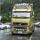 준피티드 이미지