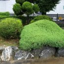 이민법률 행정사사무소 이미지