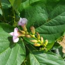 용래농장 이미지