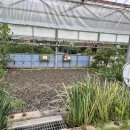 양명농장 이미지