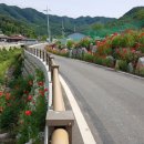 내천 전북중앙신문