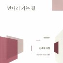 만나러 가는 길 - 김초혜 시집 / 서정시학 이미지