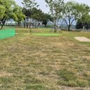 수목원파크 이미지