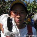 포도향이흐르는마을 이미지