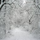 북평중학교 이미지