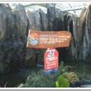 로즈마리숲 이미지