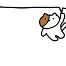 빠네렌토((PANE LENTO) 이미지