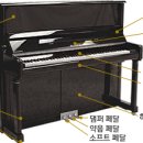 자마르실용음악학원 이미지