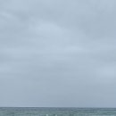 강릉 커피거리(2025.10.16) 이미지