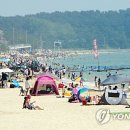 대천해수욕장 이미지