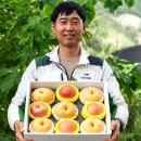 열정농부 과일 한 박스 받아본 솔직 후기 — 산지직송이 이렇게 다를 줄이야