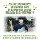 에코피아그린 이미지