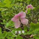 4번째 도전!! 포항 내연산 산행기 [260502] 이미지