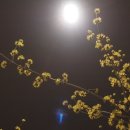 (주)순수유