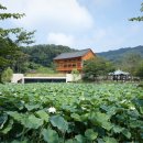 신성종합건축사사무소(주)