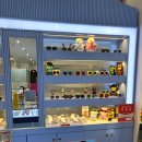 채플린안경원온누리점 | 전주어린이선글라스 중화산동 채플린안경원