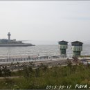 새만금 신시광장 Daum카페