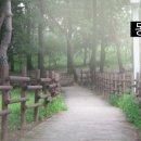 동춘당근린공원(2) 이미지