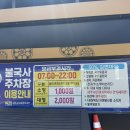 타이밍  포토 | 경주 불국사 겹벚꽃 4/18 실시간 만개 절정 &amp; 포토스팟까지 완벽 후기