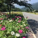 화개골 이미지