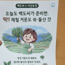 청운농장 | 국내산무 김장무 청운무 서진농장여수 청운무 3kg 솔직후기