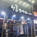 청춘갈매기 이미지