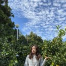 춤추는달 이미지