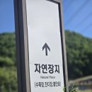 용인평온의숲(시설관리동) | 용인평온의 숲 잔디장 후기 절차부터 비용까지 꼼꼼하게 알아보기