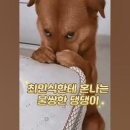 더행복미소 이미지