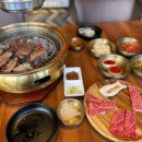 군포고기집 군포소고기 일척 황금소갈비 명품 꽃갈비살 혼밥 후기