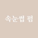 르네41 이미지