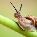 인지농장 이미지