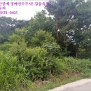 주생면 영촌마을 이미지