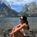 스크린승마(주) 이미지