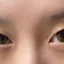 하파크리스틴 압구정로데오점 이미지