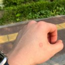세무사 1차 공부 기록: 세법개론 수강 &amp; 재무, 원가 복습