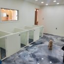 상아지네 이미지