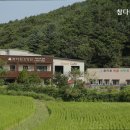 참다원