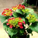 생명농장 이미지