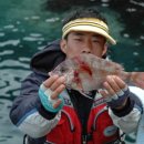 바다낚시 - 영덕군 축산항길 21 | 바다낚시