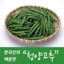 (주)고추나라