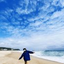하조대