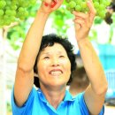 진순농장 이미지